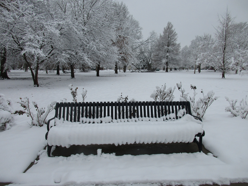 winterbench