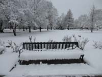 winterbench